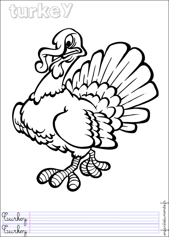 coloriage dindon